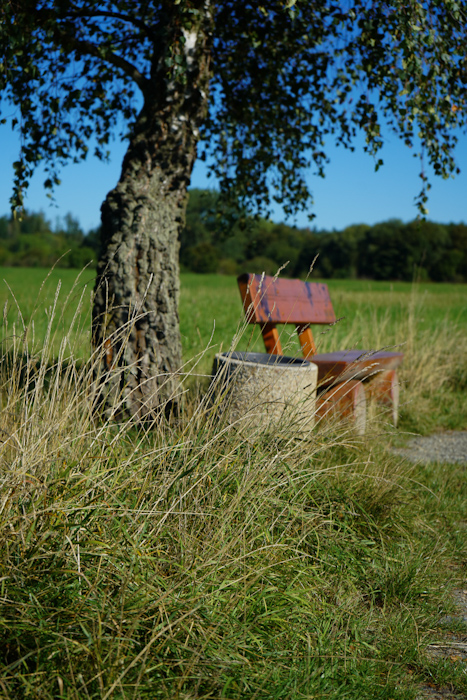 Route 10 Sparkasse Vogtland