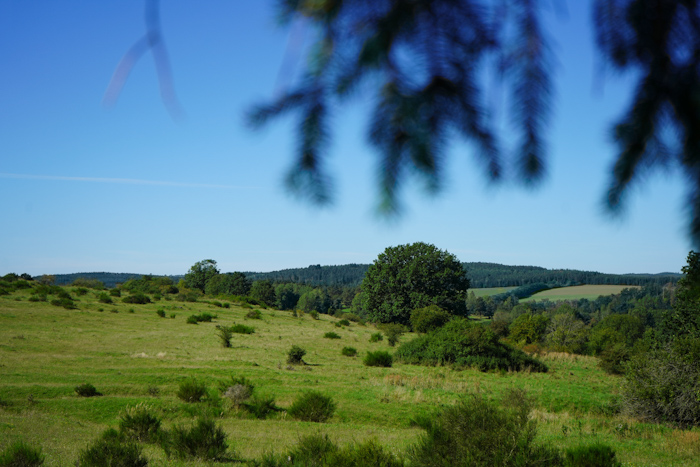 Route 10 Sparkasse Vogtland