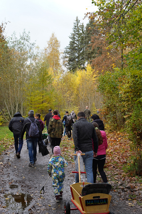 Route 11 Eisstern Bad Brambach