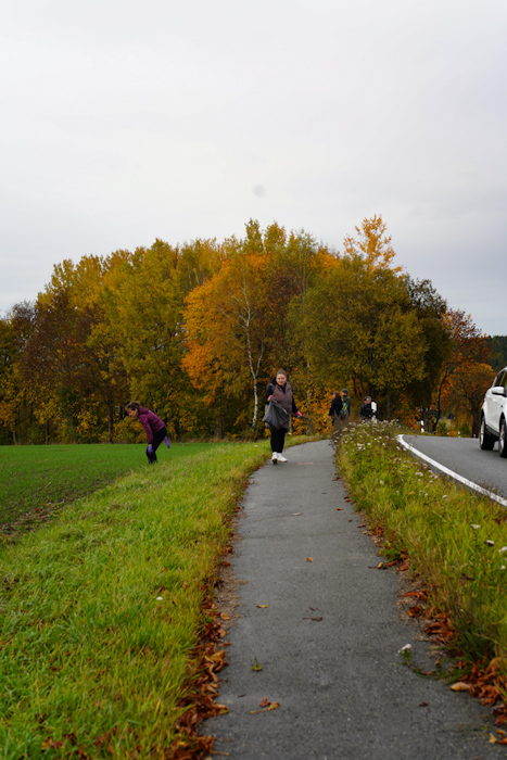 Route 11 Eisstern Bad Brambach